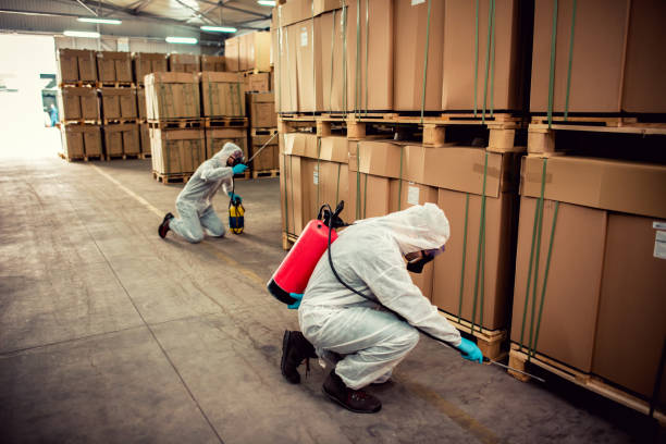 Best Flea Control Services  in Warren, MN