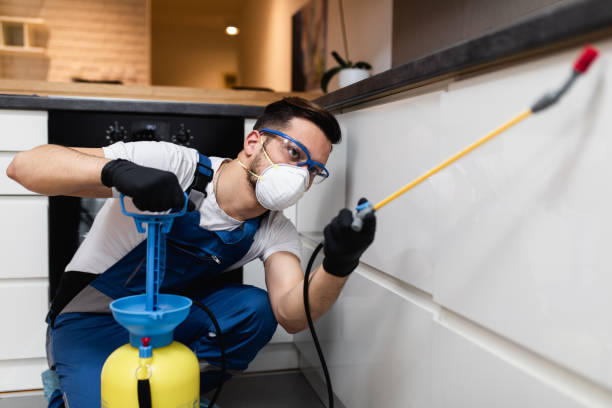 Best Flea Control Services  in Warren, MN
