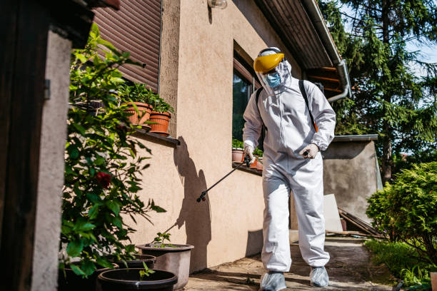 Best Pest Removal Services  in Warren, MN
