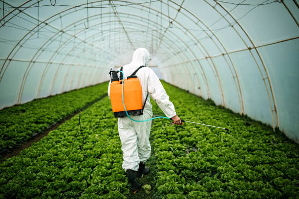 Best Best Pest Control Companies  in Warren, MN