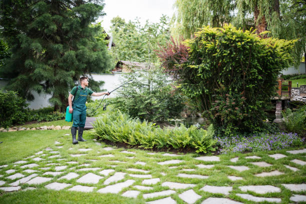 Best Insect Control  in Warren, MN