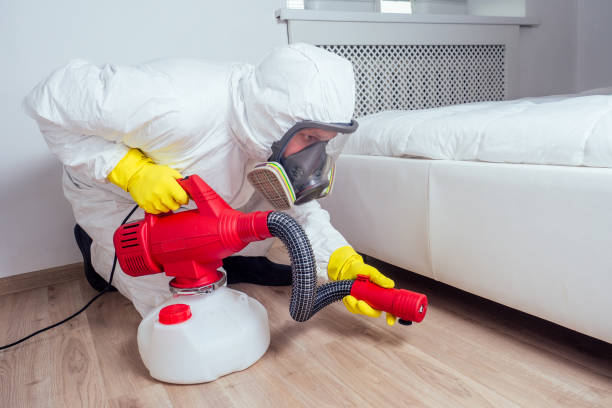 Best Pest Control for Businesses  in Warren, MN