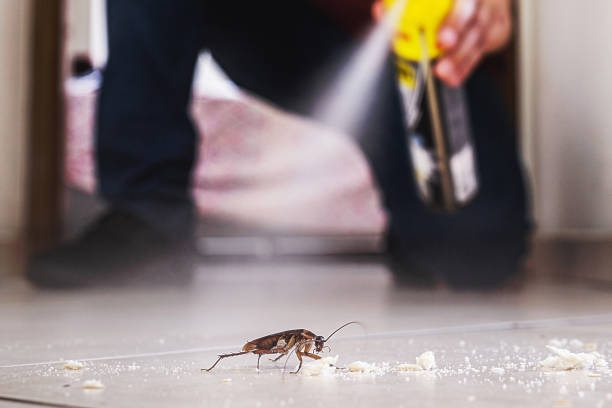 Flea Control Services in Warren, MN