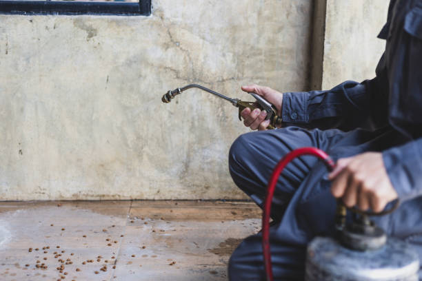 Best Affordable Pest Control Services  in Warren, MN